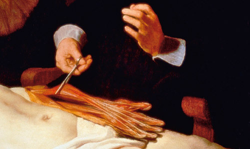 Figure 3  Painting close-up detail with the dissected left upper extremity. Using forceps, Dr Tulp is lifting up the…
