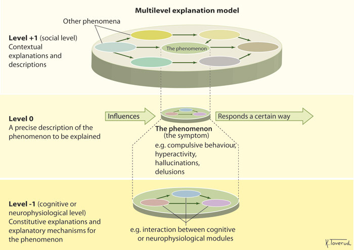 Figure 1.  The phenomenon to be explained (the 0 level) responds in a certain way (arrow pointing right) when exposed to…
