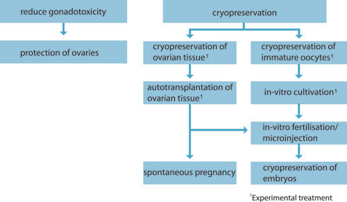 Figure 1  Schematic overview of fertility-preserving methods for prepubertal girls and women who cannot postpone cancer…
