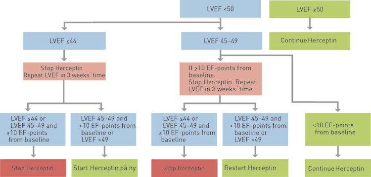 Figure 1  Decision-making algorithm in connection with monitoring of the ejection fraction of patients who are being treated…