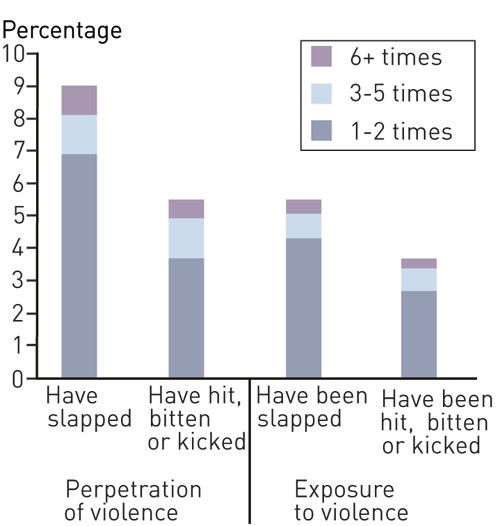 Figure 1  The women’s perpetration of and exposure to various forms of violence between them and their partners during the…