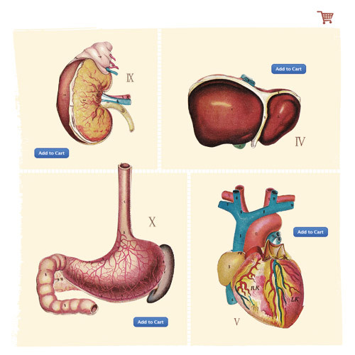 Illustration © Supernøtt popsløyd