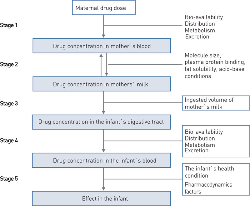 Figure 1:  Exposure to drugs in breast-fed infants by way of mother’s milk (1 – 3)
