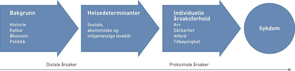 Figur 1  Proksimale og distale årsaker til sykdom. De proksimale individuelle årsakene forklarer variasjon i sykdom hos…