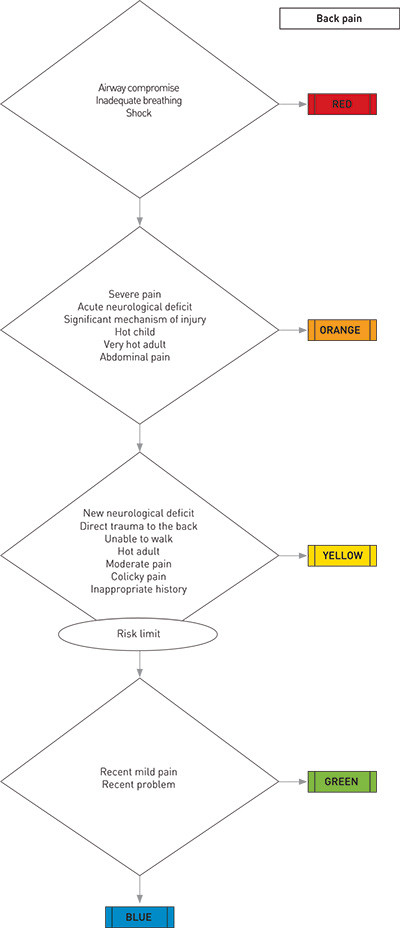 Figure 1:  Example of a flowchart from the Manchester Triage Scale. One starts at the top, and responds with yes or no to…