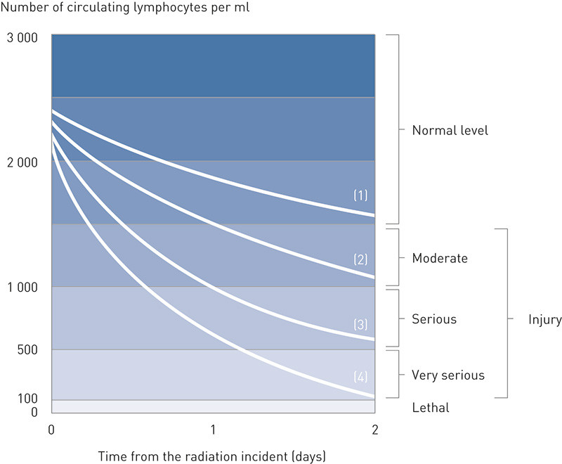 Figure 1  Changes in the lymphocyte count during the two first days after whole-body irradiation as an indication of the…