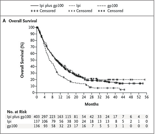 Figure 1  Survival curve for treatment with ipilimumab or ipilimumab in combination with the cancer vaccine gp100 versus…
