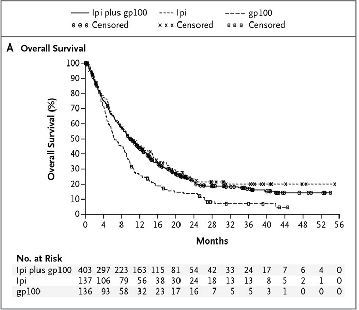 Figur 1  Overlevelseskurve for behandling med ipilimumab eller ipilimumab kombinert med kreftvaksinen gp100 versus gp100…