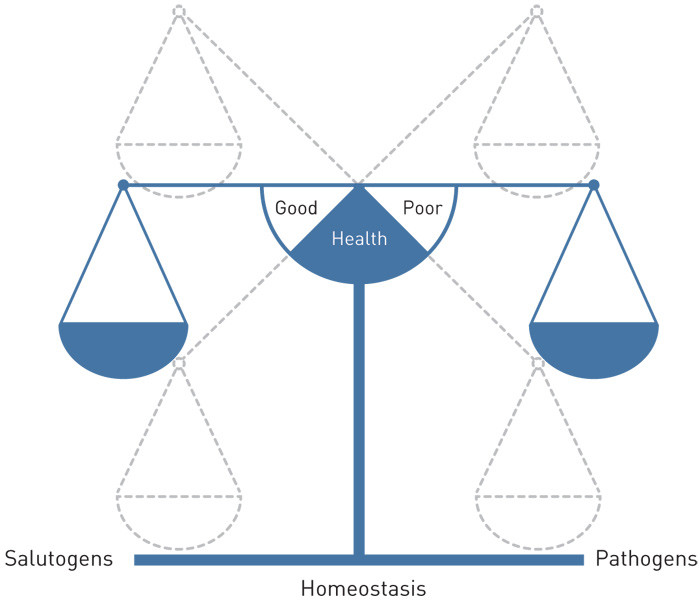 Figure 1  Health as homeostasis: model showing health-promoting factors (salutogens) and disease-promoting factors …