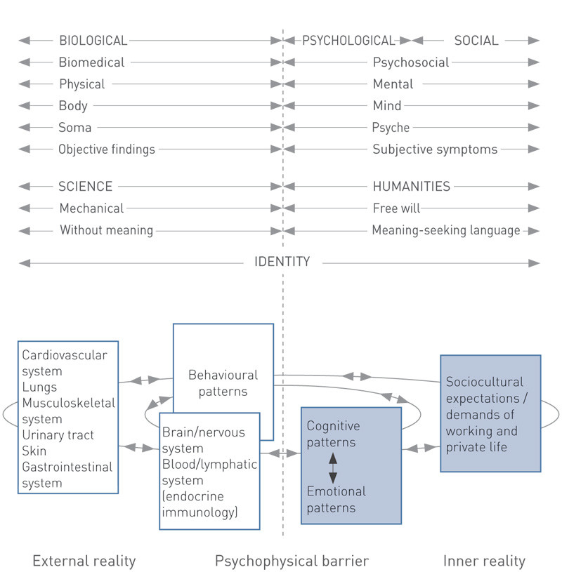 Figure 4  Integrated understanding of subjective disorders: stress and coping are integrated in a biopsychosocial model of…