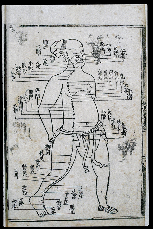 Kinesisk akupunkturkart fra Ming-dynastiet, år 1537. Wellcome Library, London (CC BY 4.0)