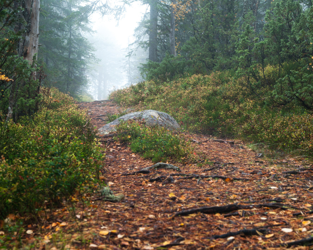 Illustrasjonsfoto: Dan A Nesheim / iStock