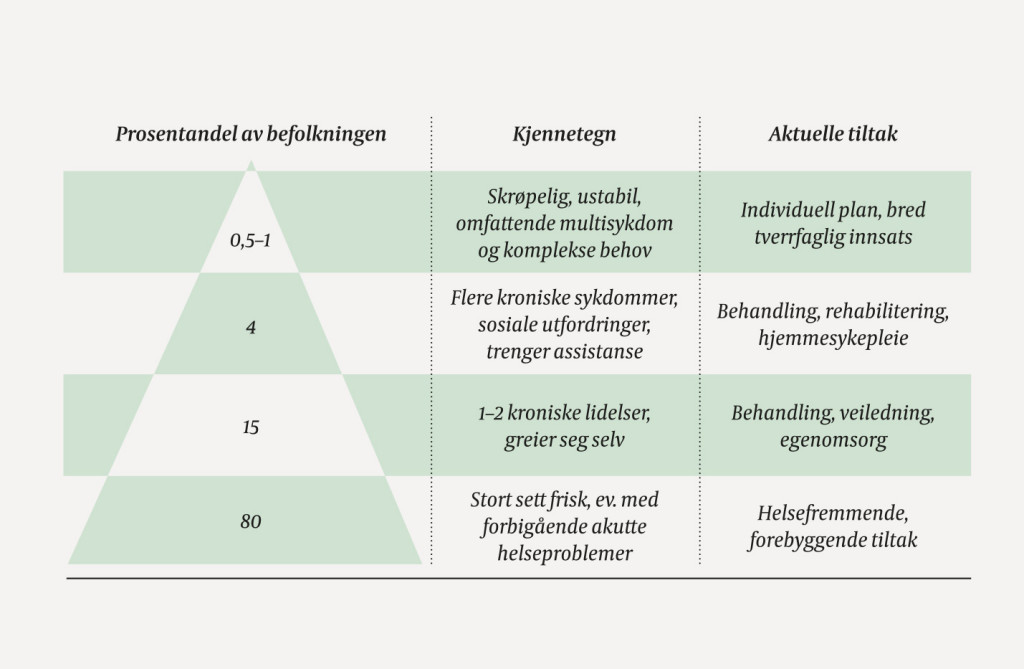 Figur 1 Risikokartlegging med prosentvis fordeling av ulike risikogrupper, hvilke kjennetegn disse gruppene typisk har og…