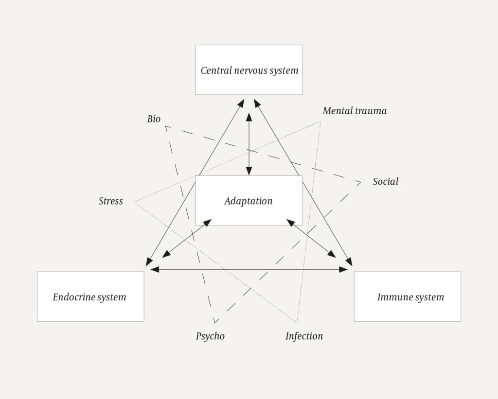 Figure 1 The body's adaptive systems respond to signals that are of a biopsychosocial nature, such as stress, traumas and…