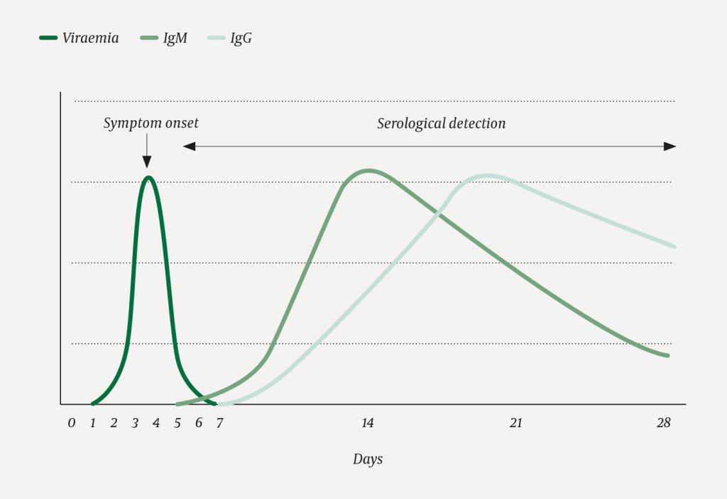 Figure 1 Viraemic phase and antibody detection upon infection with dengue virus. The figure is based on a sketch by Susanne…