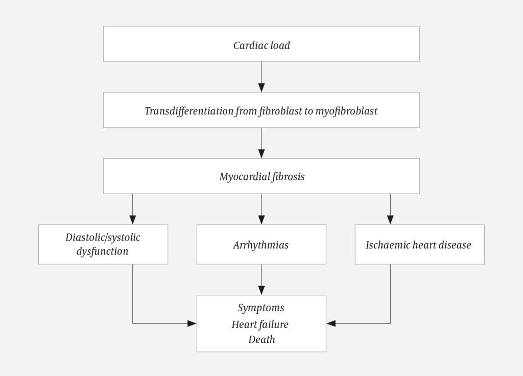 Figure 3 Myocardial fibrosis – pathophysiology and consequences (design based on article text).