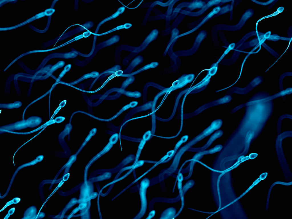 Illustrasjon: Eraxion/iStock