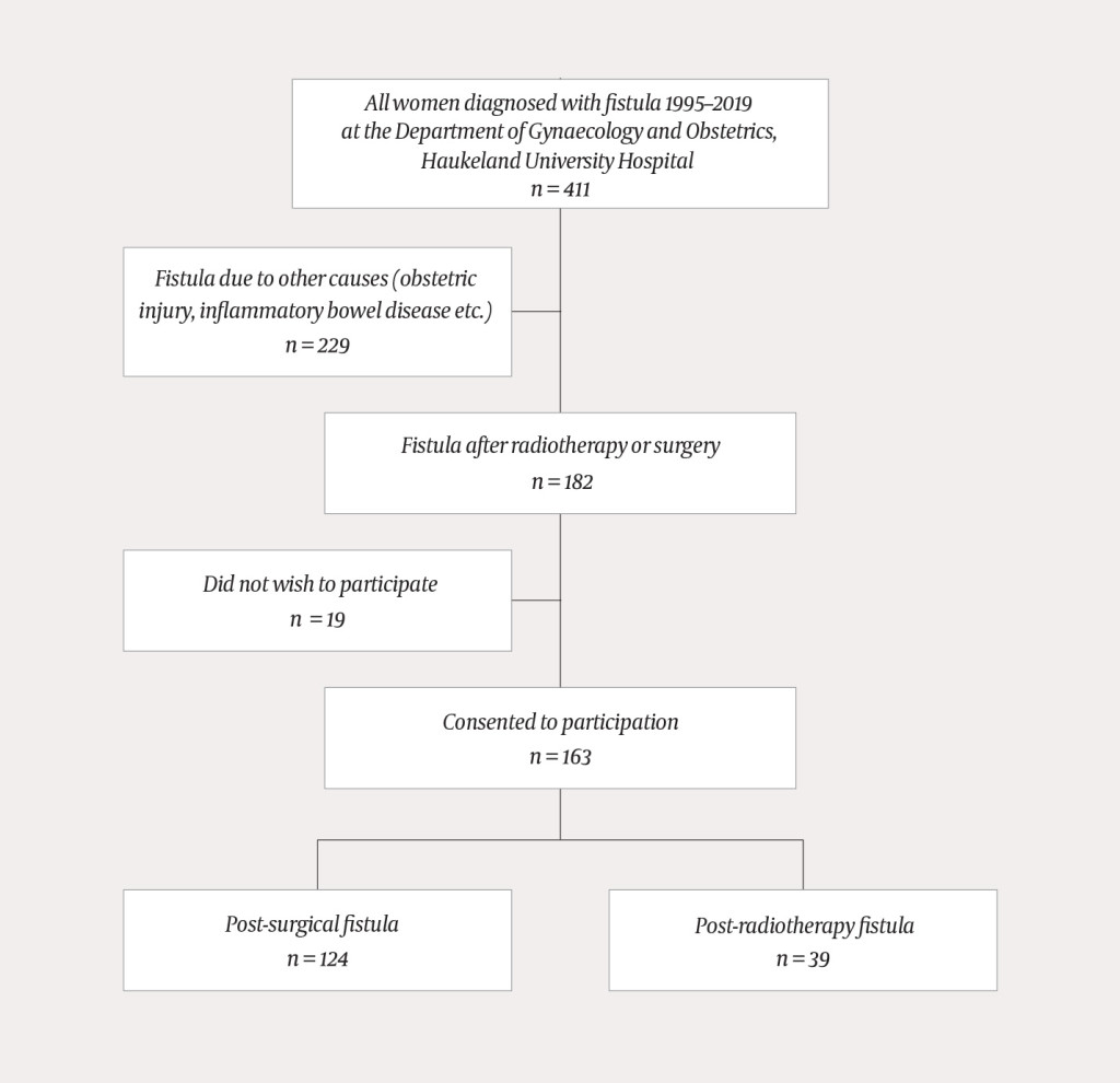 Figure 1 Gynaecological fistulae caused by surgery and/or radiotherapy treated at the Department of Gynaecology and…