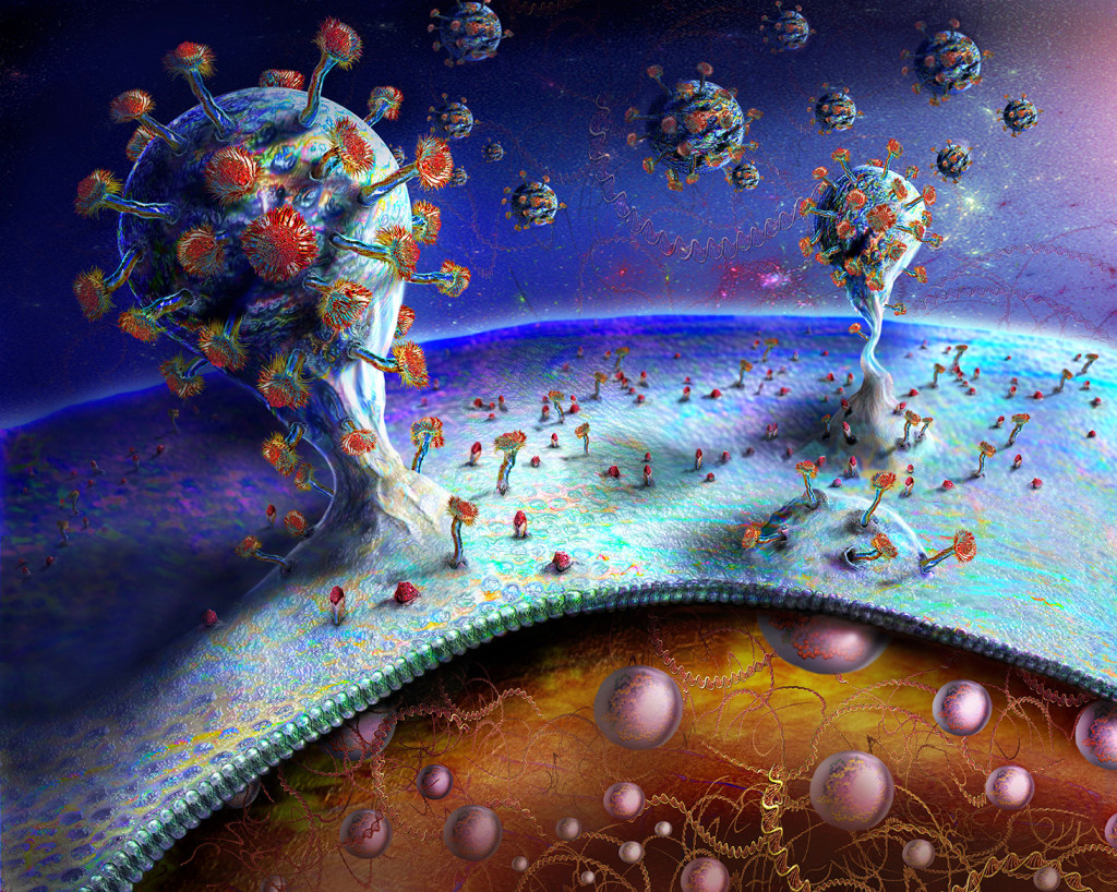 Koronavirus spirende fra en infisert celle. Illustrasjon: Science photo library / NTB