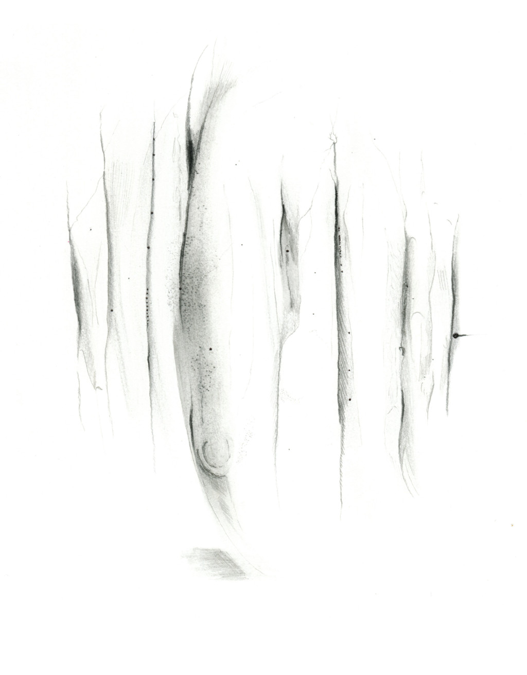 Illustration: Øystein Figenschou