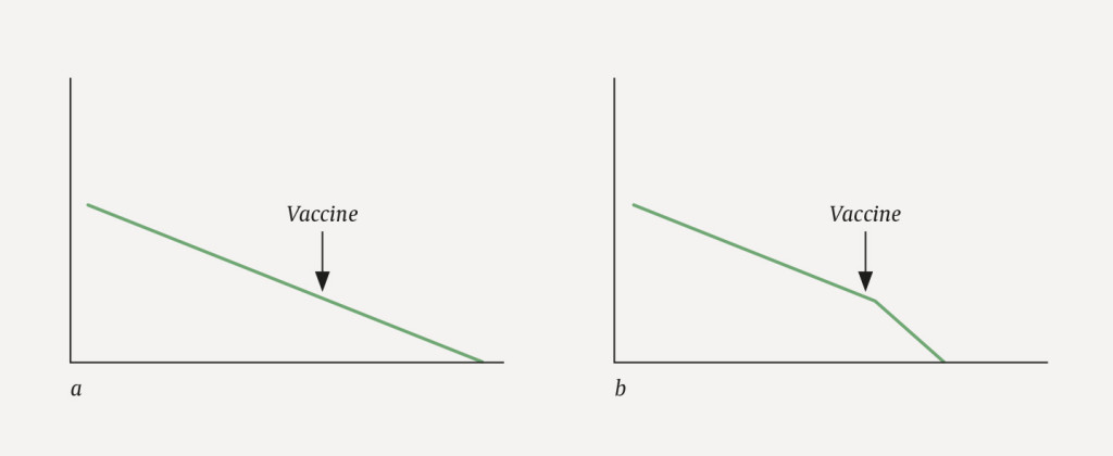 Figure 1 Theoretical link between the death process and vaccination, heavily schematised. The X-axis illustrates the time&hellip;