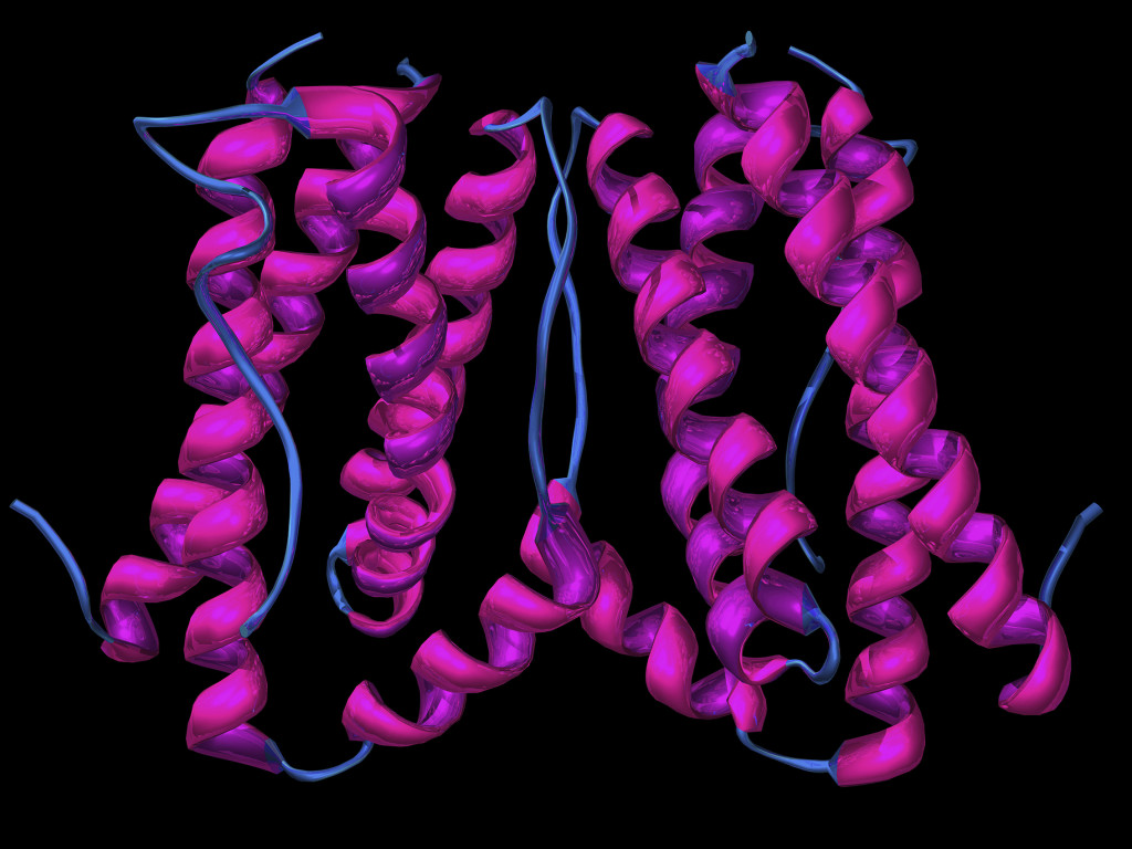 Modell av interleukin-6. Illustrasjon: Mark J. Winter / Science Photo Library / NTB