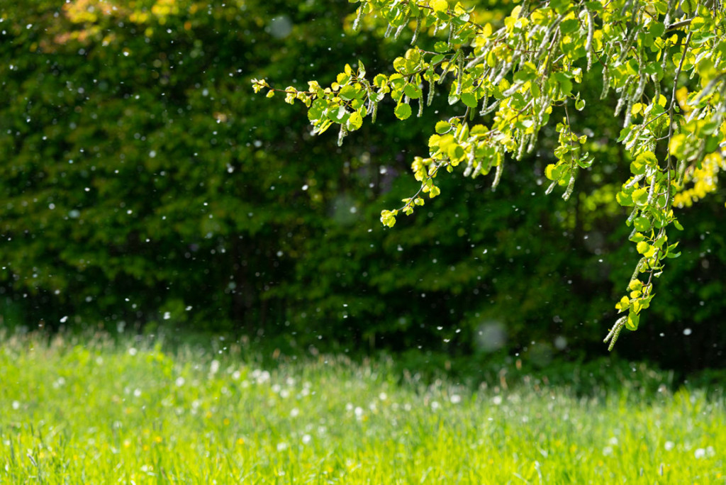 Illustrasjonsfoto: Martin Wahlborg / iStock