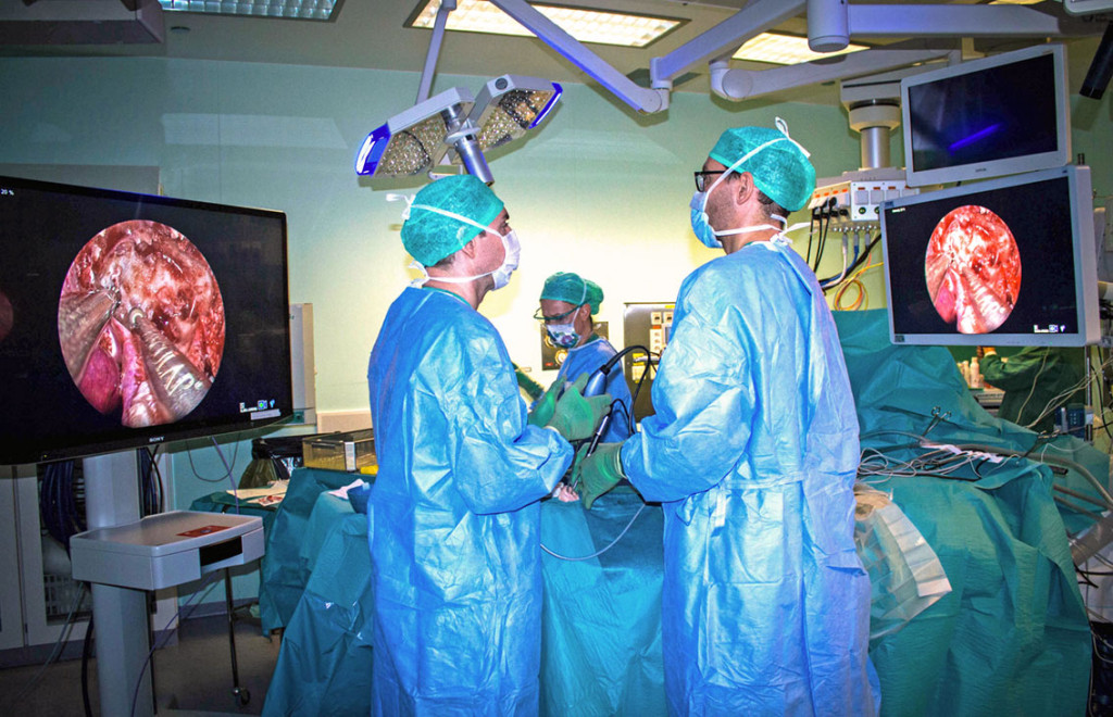 Figure 1 Overview image of the use of an endoscopic four-hands technique. The instruments are inserted via both nostrils…