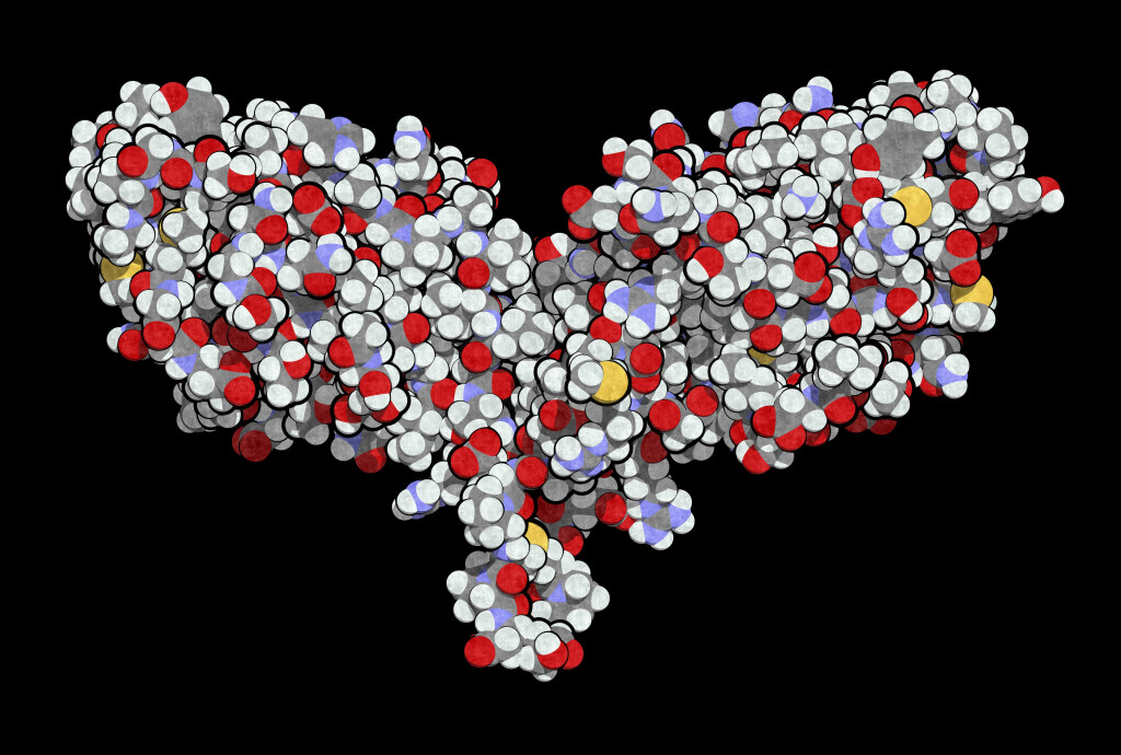 CTLA-4-protein (cytotoksisk T-lymfocyttassosiert protein 4), en immunsjekkpunkthemmer. Illustrasjon: Science Photo Library /…
