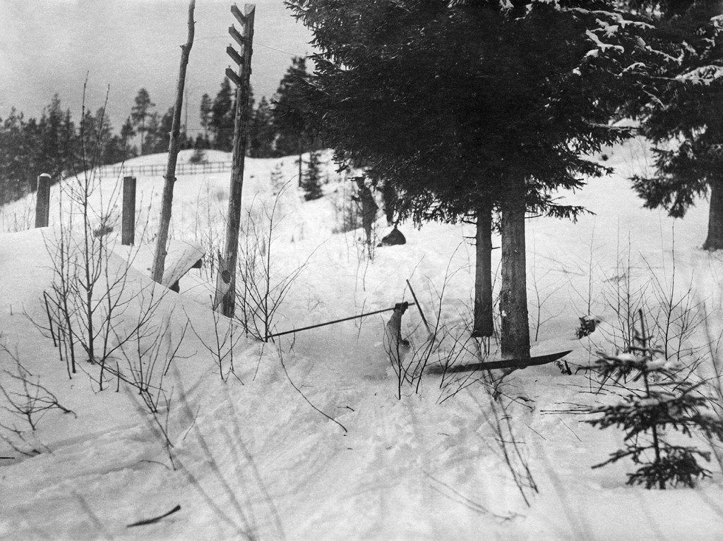 Figure 2 Matti Raivio fell into a wolf trap when competing in the 50-kilometre race in Lahti in 1926, but got back on his…
