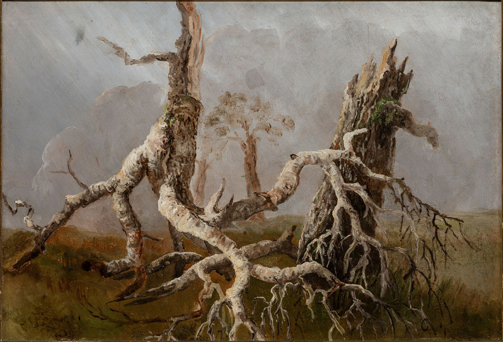 Utdøende skog (1845–52), August Cappelen (1827–52). Foto: Dag Fosse / Kode. Digitalt Museum (CC BY-NC-ND).