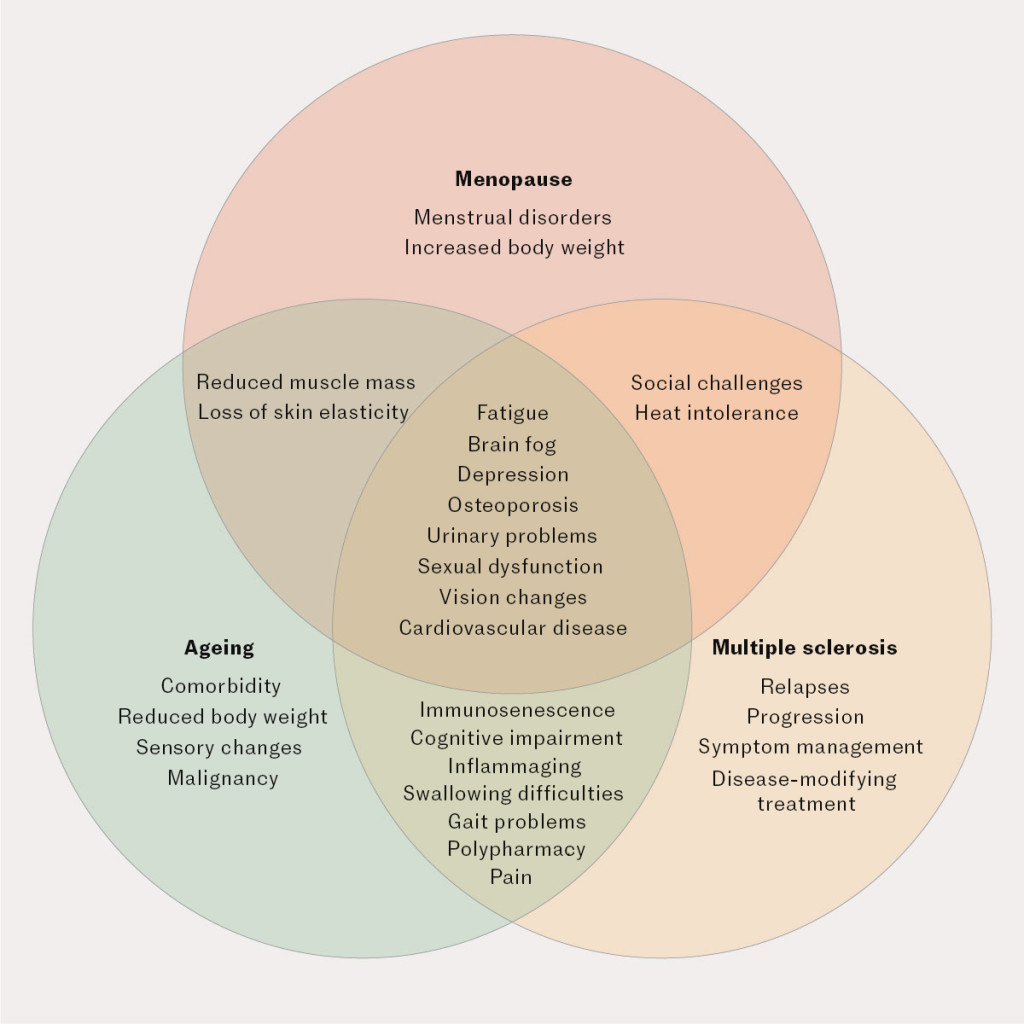 Figure 1 The association between multiple sclerosis, ageing and menopause, modified from Bove et al. (8). Inflammaging = a…