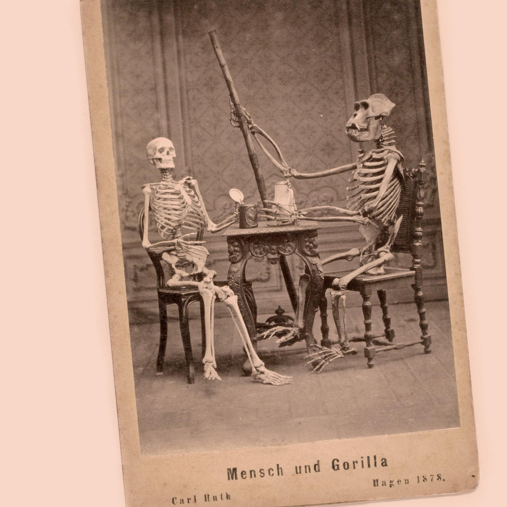 Carl Ruth, Mensch und Gorilla (1878) Gift of the heirs of C.J.J.G. Vosmaer, Leiden. Foto: Rijksmuseum / Public domain.