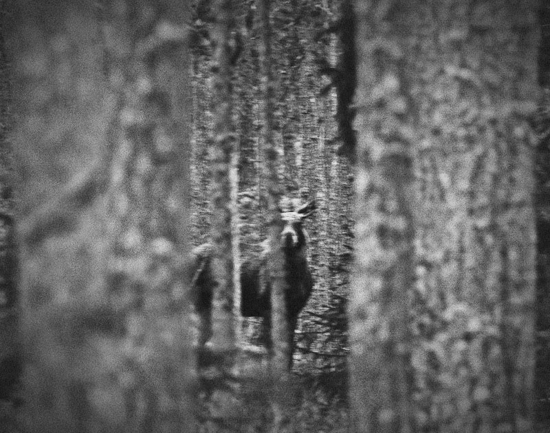 Illustrasjonsfoto: Jan-Eilert Pedersen