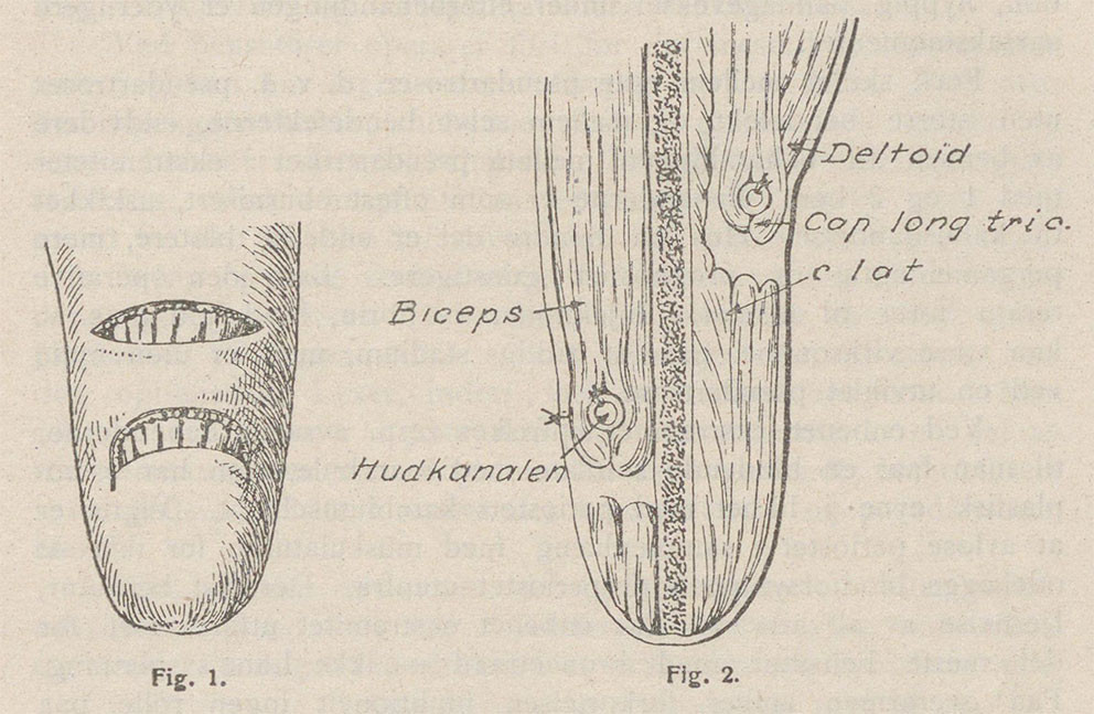 Faksimile, Tidsskriftet 16&ndash;17/1919