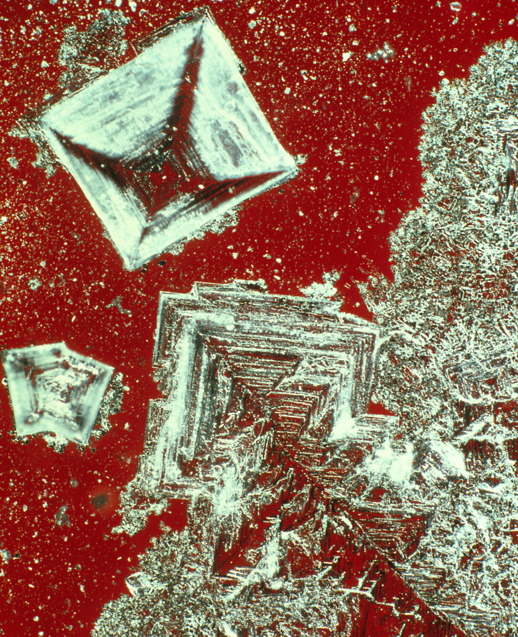 Polarisasjonsmikroskopibilde av saltkrystaller. Illustrasjonsfoto: Science Photo Library / NTB