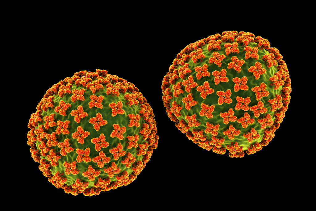 Hantaviruspartikler. Illustrasjonsfoto: Science Photo Library / NTB